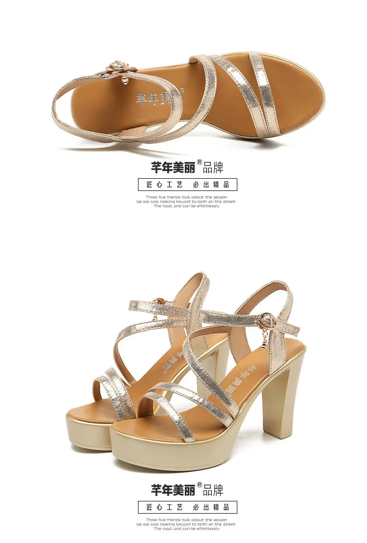 Fashionable, Bold and Beautiful Dress8cm 10cm Small Size 32-43 Elegant Soft Leather Sandals Platform Shoes 2025 Bandage Block High Heels Gladiator Sandals Model