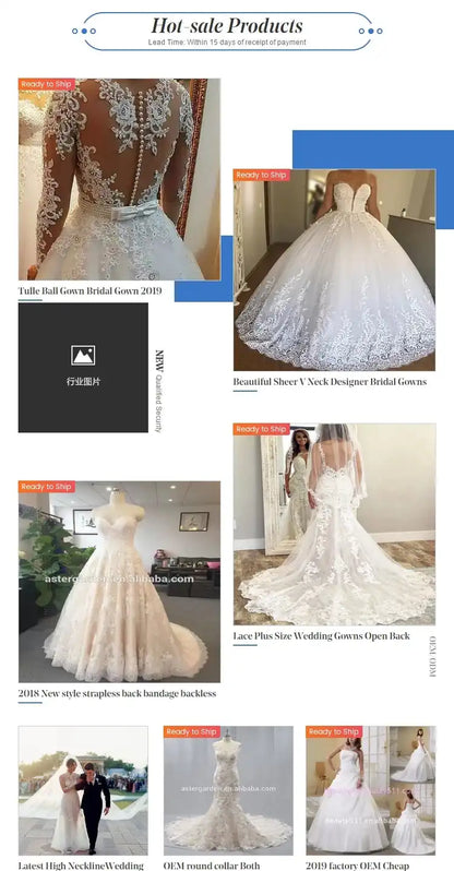 Aster Garden: Glamorous Backless Beaded A-Line Wedding Dress Sleeveless Satin Princess Bridal Gown