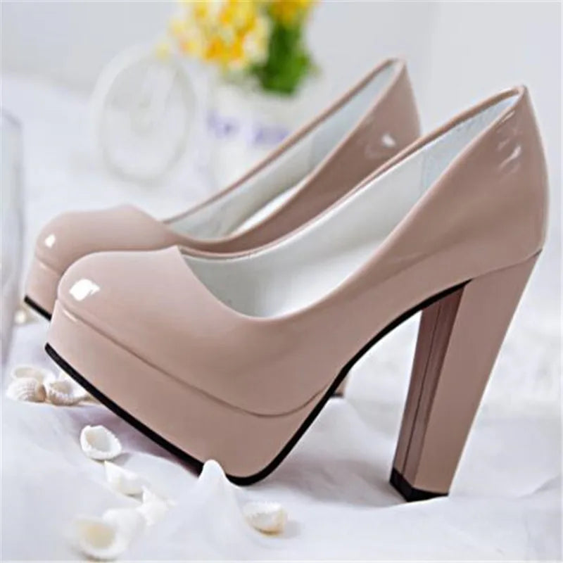 Fashionable, Bold and Beautiful DressWomen's Pumps Shoes Pointed Toe High Heels Slip-On Designer Shoes