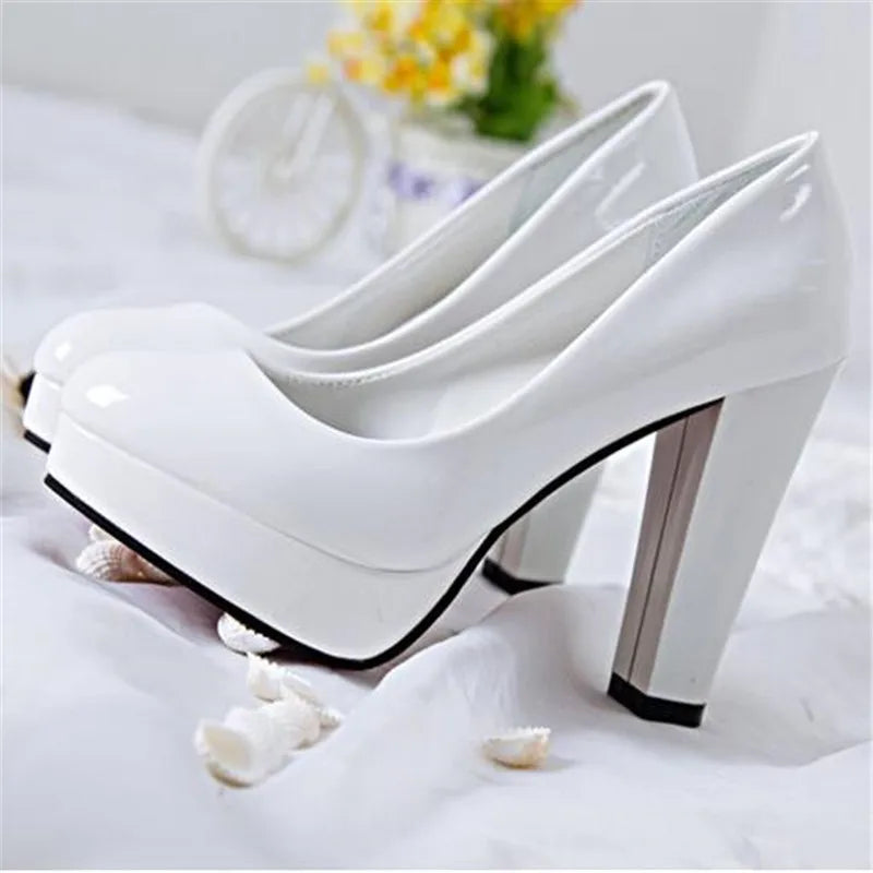 Fashionable, Bold and Beautiful DressWomen's Pumps Shoes Pointed Toe High Heels Slip-On Designer Shoes
