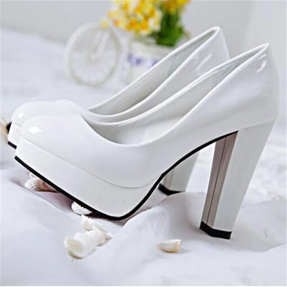 Fashionable, Bold and Beautiful DressWomen's Pumps Shoes Pointed Toe High Heels Slip-On Designer Shoes