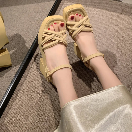 Fashionable, Bold and Beautiful DressWomen's Waterproof Wedge Platform Sandals Casual Fashionable Buckle Strap High Heel Square Toe Modern Sandals - Just The Fly Way