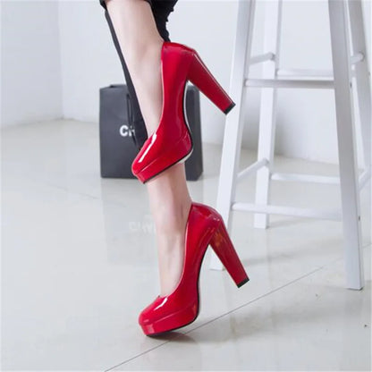 Fashionable, Bold and Beautiful DressWomen's Pumps Shoes Pointed Toe High Heels Slip-On Designer Shoes