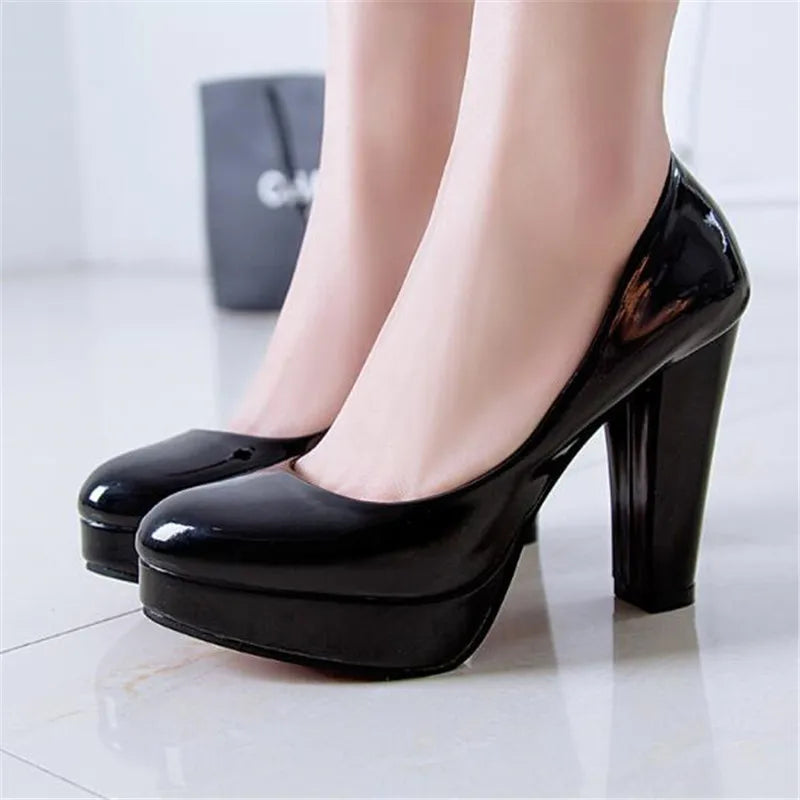 Fashionable, Bold and Beautiful DressWomen's Pumps Shoes Pointed Toe High Heels Slip-On Designer Shoes