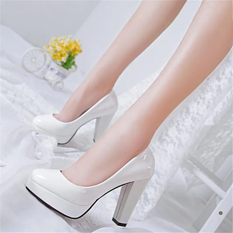 Fashionable, Bold and Beautiful DressWomen's Pumps Shoes Pointed Toe High Heels Slip-On Designer Shoes