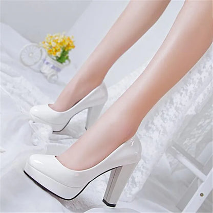 Fashionable, Bold and Beautiful DressWomen's Pumps Shoes Pointed Toe High Heels Slip-On Designer Shoes