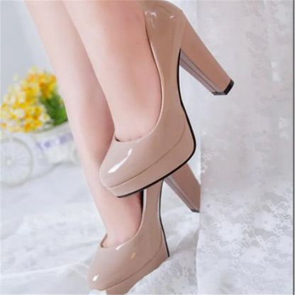 Fashionable, Bold and Beautiful DressWomen's Pumps Shoes Pointed Toe High Heels Slip-On Designer Shoes